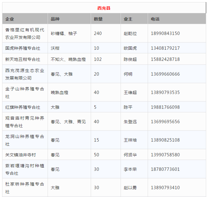 C罗创纪录之夜现龌龊一幕 逃过裁判红牌或面临禁赛|星空娱乐(图2) 星空娱乐