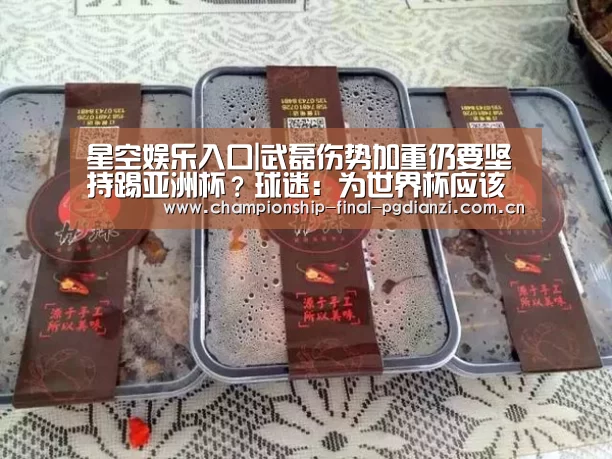星空娱乐入口